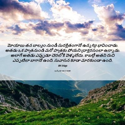 Picture 06 - యిర్మీయా 48:11 TELIRV - మోయాబు తన బాల్యం - Bible Verse Picture