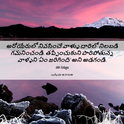Picture 06 - యిర్మీయా 48:19 TELIRV - అరోయేరులో - Bible Verse Picture