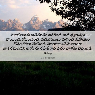 Picture 06 - యిర్మీయా 48:20 TELIRV - మోయాబుకు అవమానం - Bible Verse Picture