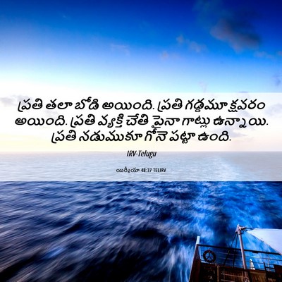 Picture 06 - యిర్మీయా 48:37 TELIRV - ప్రతి తలా బోడి - Bible Verse Picture