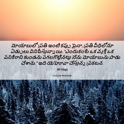 Picture 06 - యిర్మీయా 48:38 TELIRV - మోయాబులో ప్రతి - Bible Verse Picture