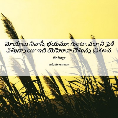 Picture 06 - యిర్మీయా 48:43 TELIRV - మోయాబు నివాసీ, - Bible Verse Picture