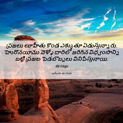 Picture 06 - యిర్మీయా 48:5 TELIRV - ప్రజలు లూహీతు - Bible Verse Picture