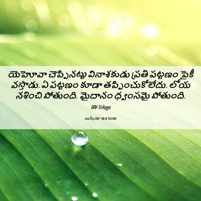 Picture 06 - యిర్మీయా 48:8 TELIRV - యెహోవా - Bible Verse Picture