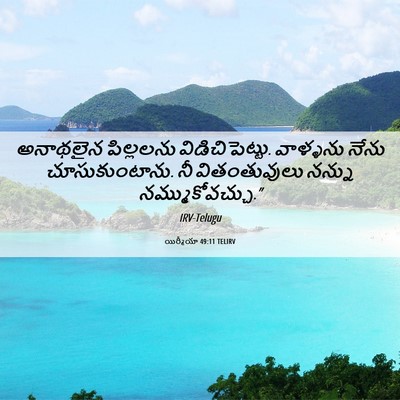 Picture 06 - యిర్మీయా 49:11 TELIRV - అనాథలైన పిల్లలను - Bible Verse Picture