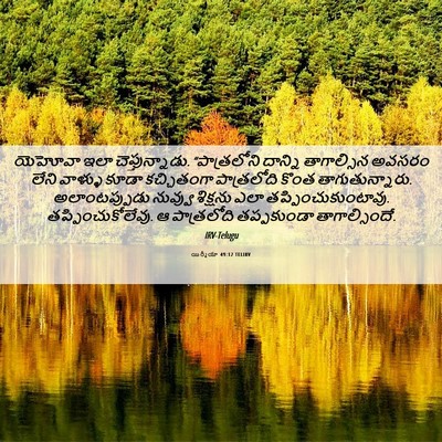 Picture 06 - యిర్మీయా 49:12 TELIRV - యెహోవా ఇలా - Bible Verse Picture