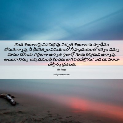 Picture 06 - యిర్మీయా 49:16 TELIRV - కొండ శిఖరాలపై - Bible Verse Picture