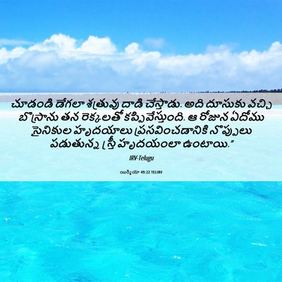 Picture 06 - యిర్మీయా 49:22 TELIRV - చూడండి డేగలా - Bible Verse Picture
