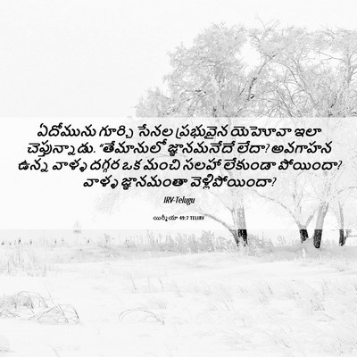 Picture 06 - యిర్మీయా 49:7 TELIRV - ఏదోమును గూర్చి - Bible Verse Picture