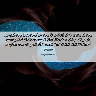 Picture 06 - యిర్మీయా 49:9 TELIRV - ద్రాక్షపళ్ళు - Bible Verse Picture