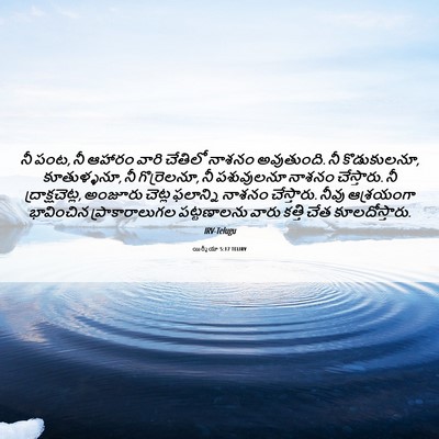 Picture 06 - యిర్మీయా 5:17 TELIRV - నీ పంట, నీ ఆహారం - Bible Verse Picture