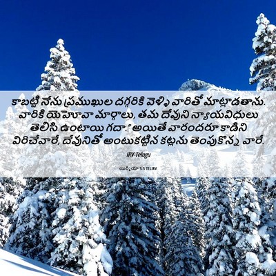 Picture 06 - యిర్మీయా 5:5 TELIRV - కాబట్టి నేను - Bible Verse Picture