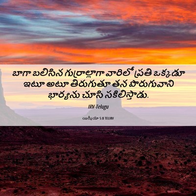 Picture 06 - యిర్మీయా 5:8 TELIRV - బాగా బలిసిన - Bible Verse Picture