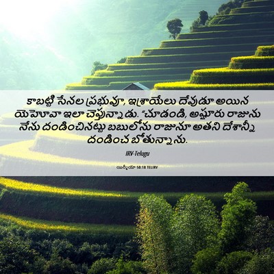 Picture 06 - యిర్మీయా 50:18 TELIRV - కాబట్టి సేనల - Bible Verse Picture
