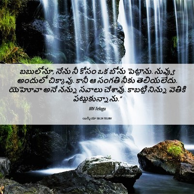 Picture 06 - యిర్మీయా 50:24 TELIRV - బబులోనూ, నేను నీ - Bible Verse Picture