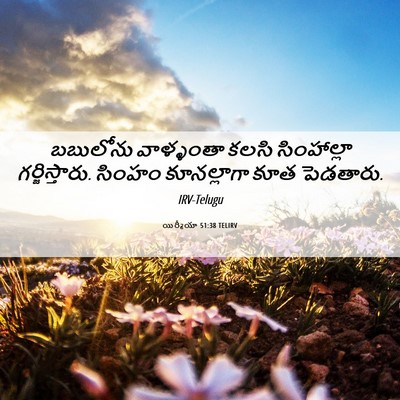 Picture 06 - యిర్మీయా 51:38 TELIRV - బబులోను వాళ్ళంతా - Bible Verse Picture