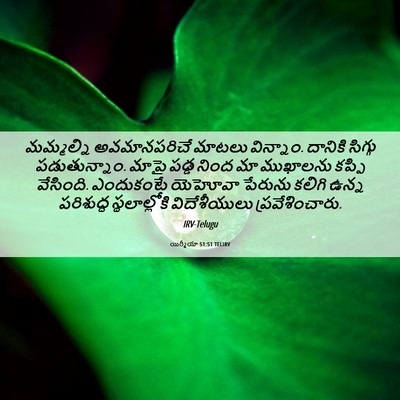 Picture 06 - యిర్మీయా 51:51 TELIRV - మమ్మల్ని - Bible Verse Picture