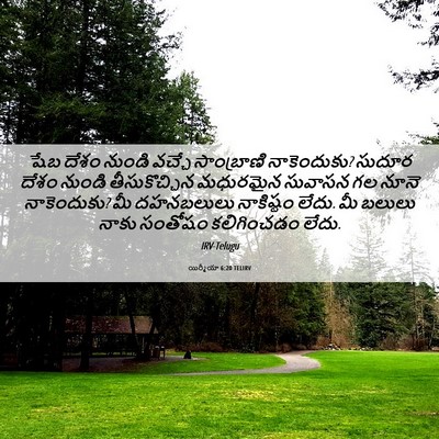 Picture 06 - యిర్మీయా 6:20 TELIRV - షేబ దేశం నుండి - Bible Verse Picture