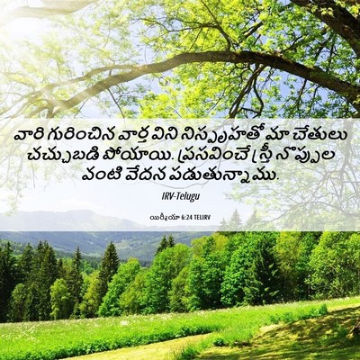 Picture 06 - యిర్మీయా 6:24 TELIRV - వారి గురించిన - Bible Verse Picture