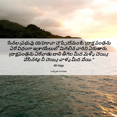 Picture 06 - యిర్మీయా 6:9 TELIRV - సేనల ప్రభువు - Bible Verse Picture