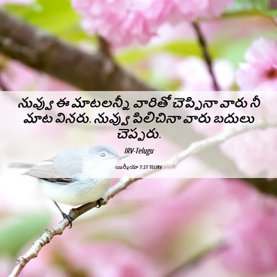 Picture 06 - యిర్మీయా 7:27 TELIRV - నువ్వు ఈ మాటలన్నీ - Bible Verse Picture
