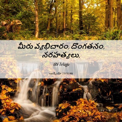 Picture 06 - యిర్మీయా 7:9 TELIRV - మీరు వ్యభిచారం, - Bible Verse Picture