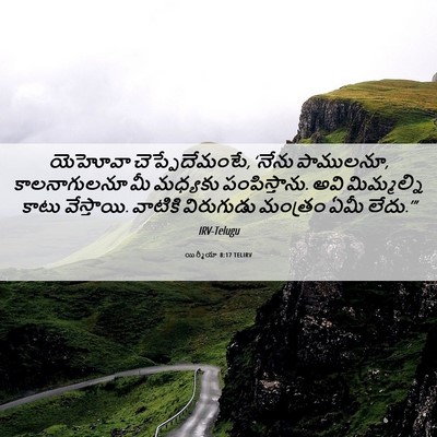 Picture 06 - యిర్మీయా 8:17 TELIRV - యెహోవా - Bible Verse Picture