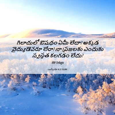 Picture 06 - యిర్మీయా 8:22 TELIRV - గిలాదులో ఔషధం ఏమీ - Bible Verse Picture