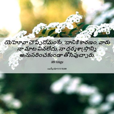 Picture 06 - యిర్మీయా 9:13 TELIRV - యెహోవా - Bible Verse Picture