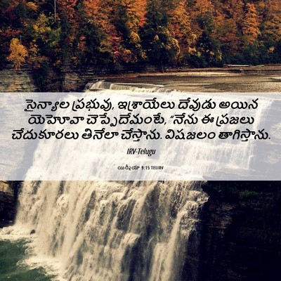 Picture 06 - యిర్మీయా 9:15 TELIRV - సైన్యాల ప్రభువు, - Bible Verse Picture