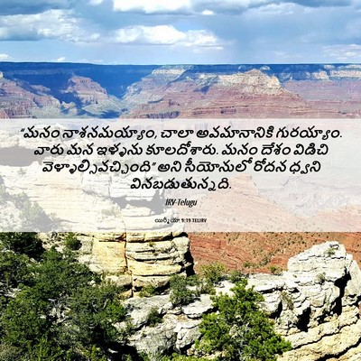 Picture 06 - యిర్మీయా 9:19 TELIRV - “మనం నాశనమయ్యాం, - Bible Verse Picture