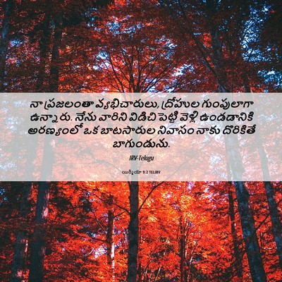 Picture 06 - యిర్మీయా 9:2 TELIRV - నా ప్రజలంతా - Bible Verse Picture