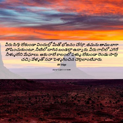 Picture 06 - యూదా పత్రిక 1:12 TELIRV - వీరు సిగ్గు - Bible Verse Picture