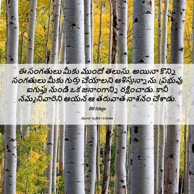 Picture 06 - యూదా పత్రిక 1:5 TELIRV - ఈ సంగతులు మీకు - Bible Verse Picture