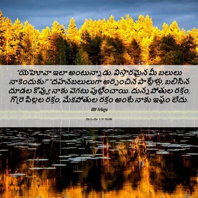 Picture 06 - యెషయా 1:11 TELIRV - “యెహోవా ఇలా - Bible Verse Picture