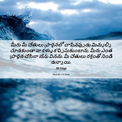 Picture 06 - యెషయా 1:15 TELIRV - మీరు మీ చేతులు - Bible Verse Picture