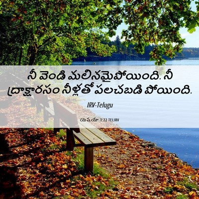 Picture 06 - యెషయా 1:22 TELIRV - నీ వెండి - Bible Verse Picture