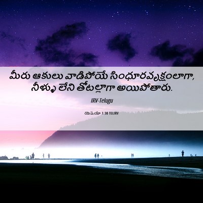 Picture 06 - యెషయా 1:30 TELIRV - మీరు ఆకులు - Bible Verse Picture