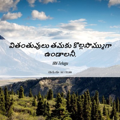 Picture 06 - యెషయా 10:1 TELIRV - వితంతువులు తమకు - Bible Verse Picture