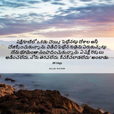 Picture 06 - యెషయా 10:14 TELIRV - పక్షిగూటిలో ఒకడు - Bible Verse Picture