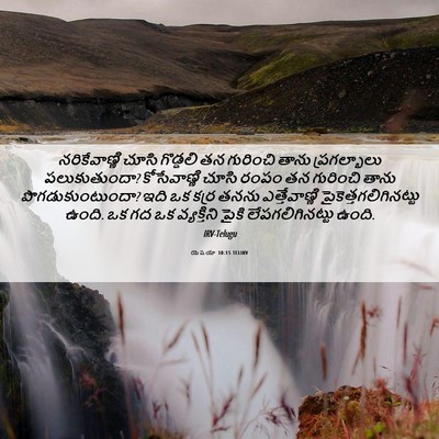 Picture 06 - యెషయా 10:15 TELIRV - నరికేవాణ్ణి చూసి - Bible Verse Picture