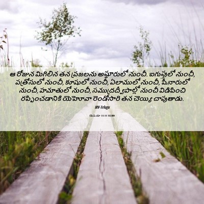 Picture 06 - యెషయా 11:11 TELIRV - ఆ రోజున మిగిలిన తన - Bible Verse Picture