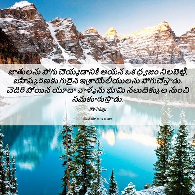 Picture 06 - యెషయా 11:12 TELIRV - జాతులను పోగు - Bible Verse Picture