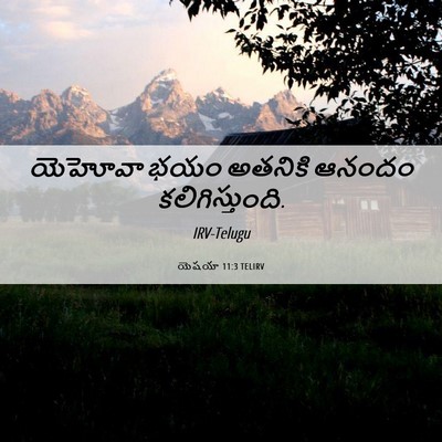 Picture 06 - యెషయా 11:3 TELIRV - యెహోవా భయం అతనికి - Bible Verse Picture