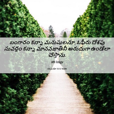 Picture 06 - యెషయా 13:12 TELIRV - బంగారం కన్నా - Bible Verse Picture