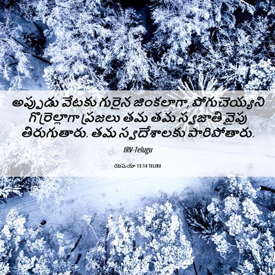 Picture 06 - యెషయా 13:14 TELIRV - అప్పుడు వేటకు - Bible Verse Picture