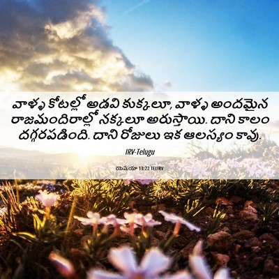 Picture 06 - యెషయా 13:22 TELIRV - వాళ్ళ కోటల్లో - Bible Verse Picture
