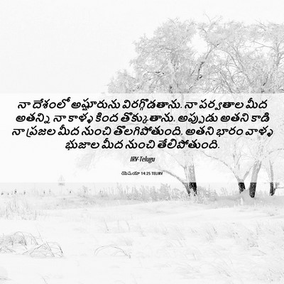 Picture 06 - యెషయా 14:25 TELIRV - నా దేశంలో - Bible Verse Picture
