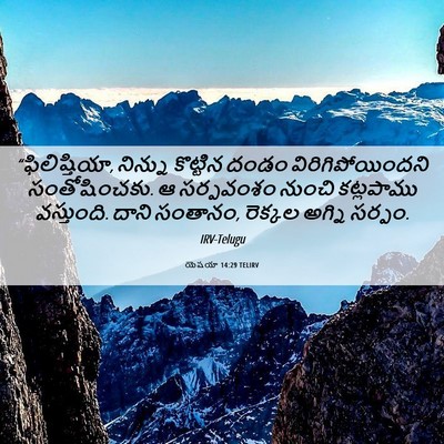 Picture 06 - యెషయా 14:29 TELIRV - “ఫిలిష్తియా, - Bible Verse Picture
