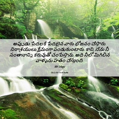 Picture 06 - యెషయా 14:30 TELIRV - అప్పుడు పేదలకే - Bible Verse Picture